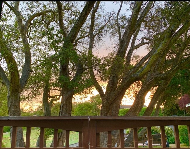 Photo - Charming Studio in La Selva!