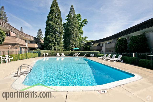 Sparkling Pool