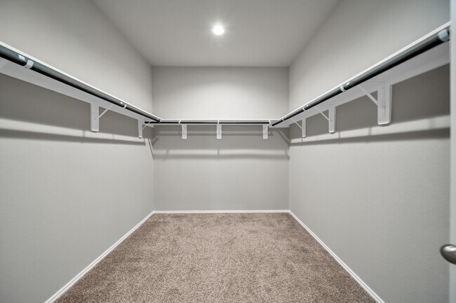 Building Photo - 22614 Petrizzi Ln Rental
