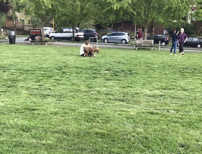 Photo - 1810 15th Ave