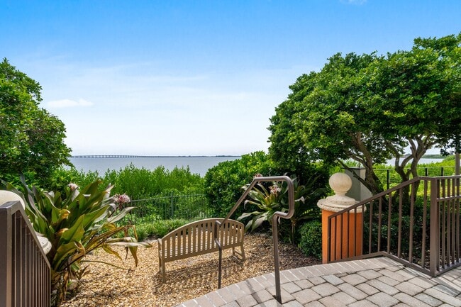 Photo - Bayside Arbors of Clearwater