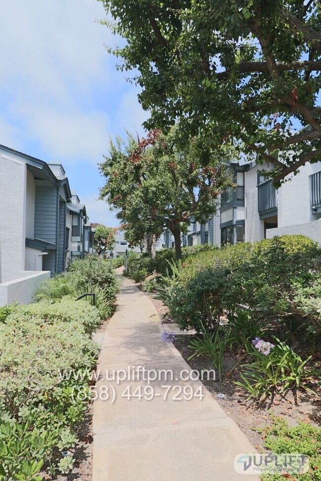 Photo - 1 Bed 1 Bath near UCSD, laundry in unit, P... Unit 106
