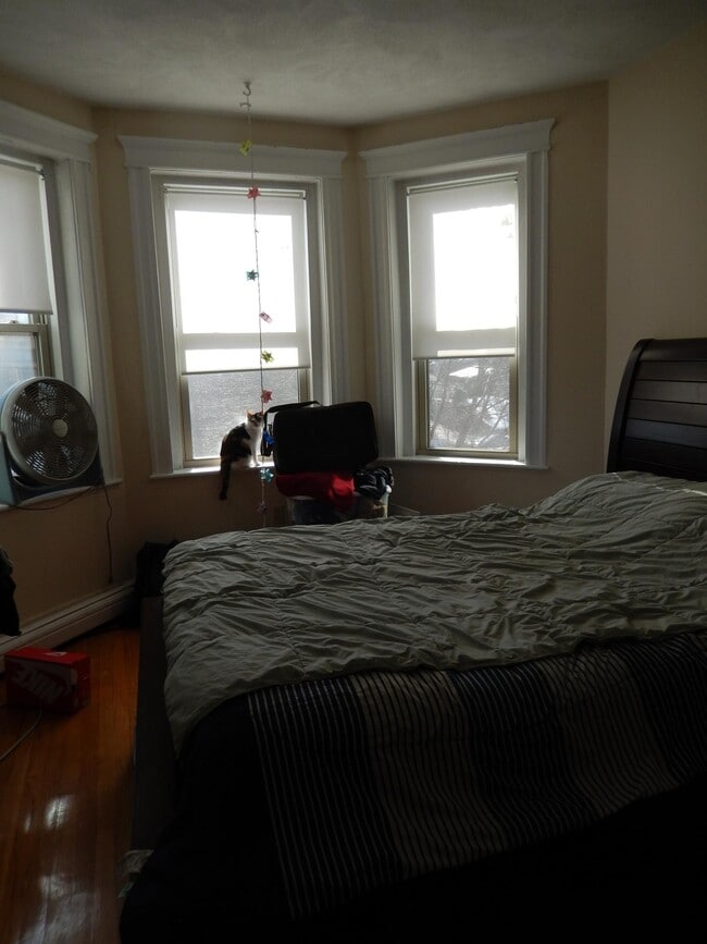 Building Photo - 1625 Commonwealth Ave Unit 18 Rental