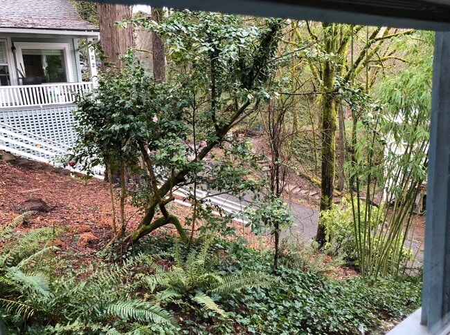 View out the kitchen sink windows. - 912 Southwest Curry Street