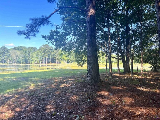 Photo - 312 Williams Rd