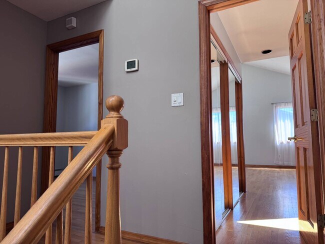 Photo - 6 Albergo Ct