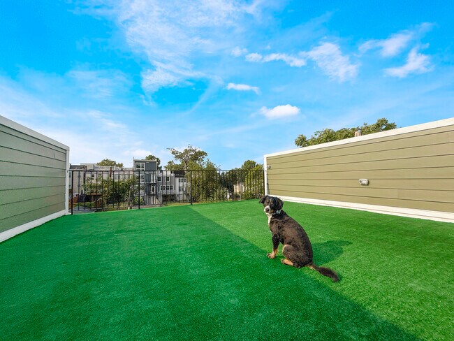 Building Photo - 318 Webster St NW Unit C