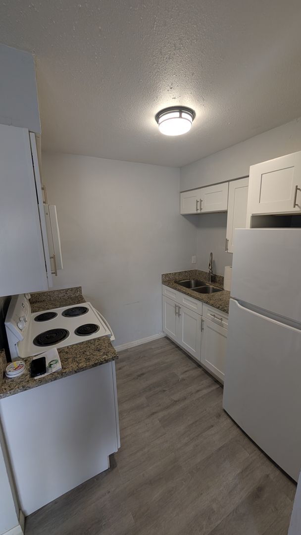 Photo - Warm and Cozy one bedroom,dog park, heart of Tampa Unit #208