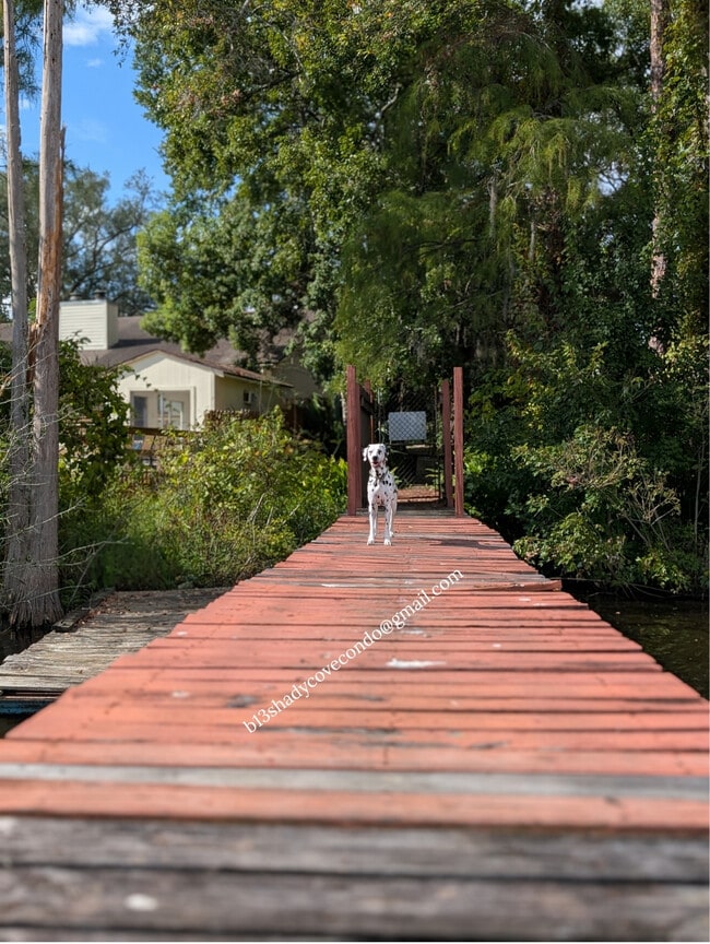 Photo - 5568 La Moya Ave