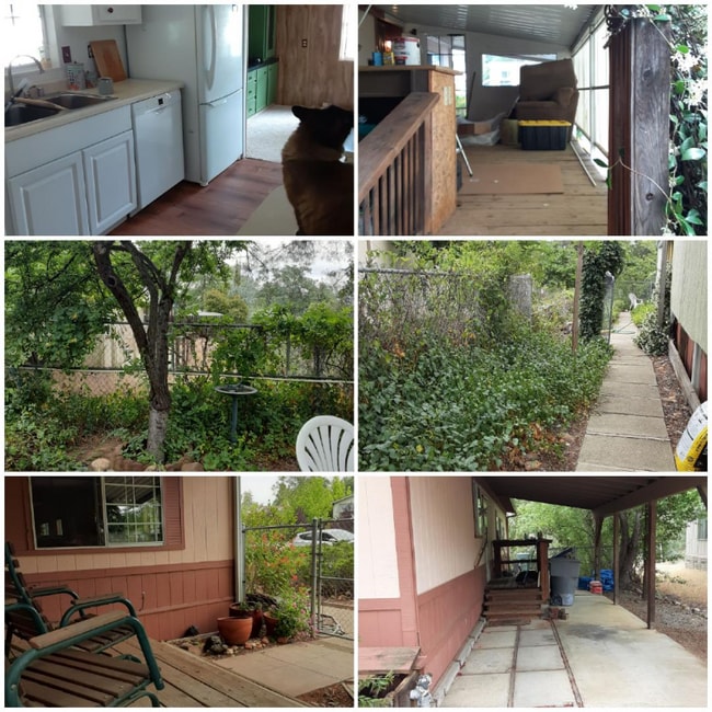 Photo - 4433 White River Dr