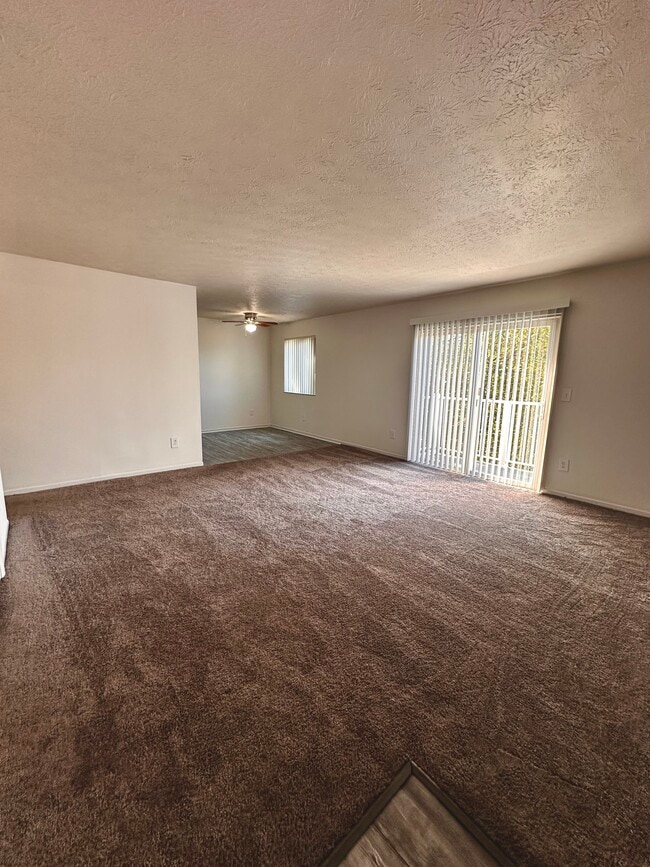 Photo - Timber Trails