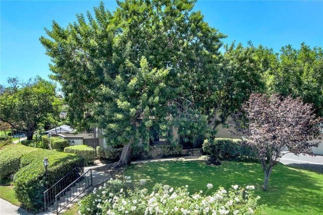 Photo - 14 Evening Breeze