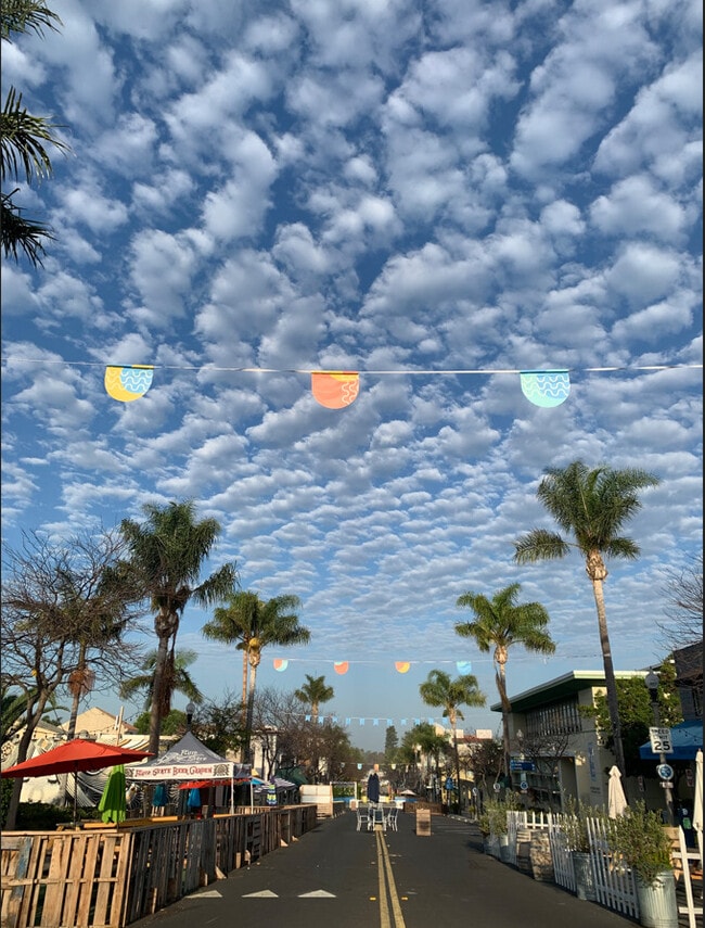 Photo - Apollo Apartments