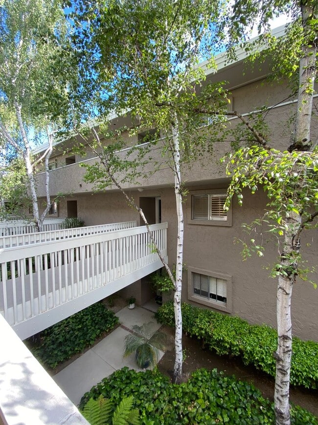 Photo - Gorgeous Remodeled 1BR Condominium in Sharon Heights Unit 204