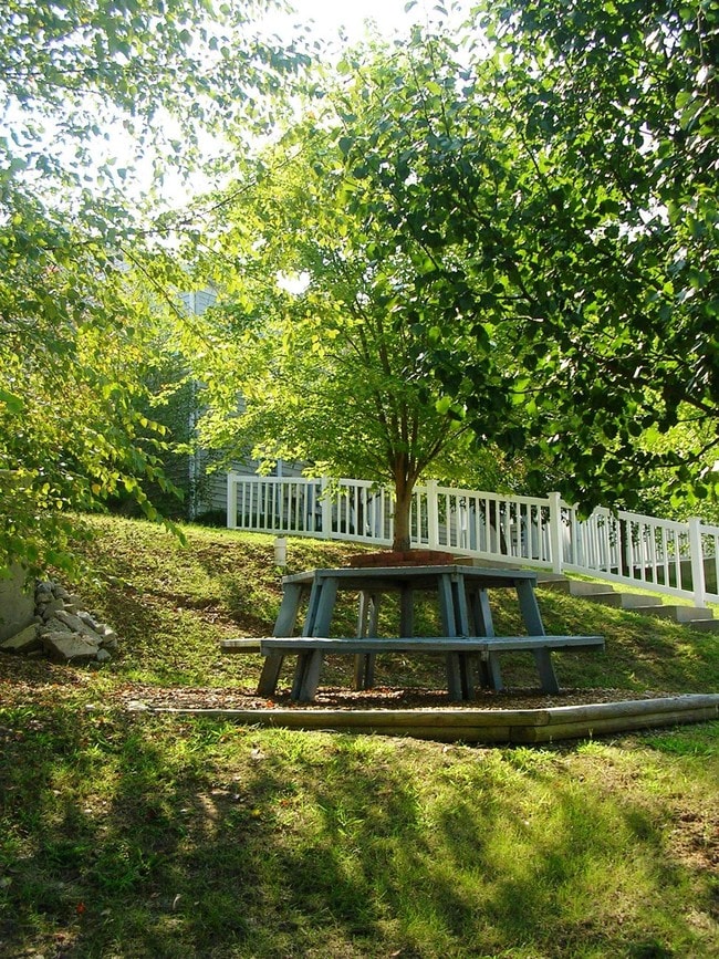 Wedgewood Hills