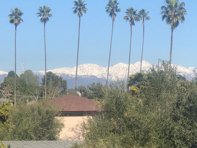 Vista desde el edificio (este/frente) Invierno - Amber Crest Apartments