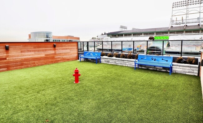 Photo - 1031 W Addison St