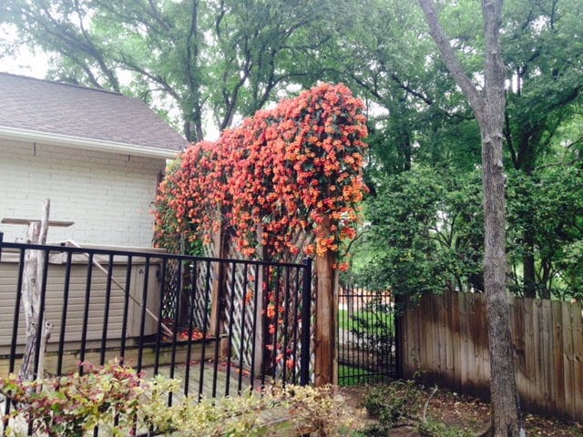 Photo - 2604 Rollingwood Dr