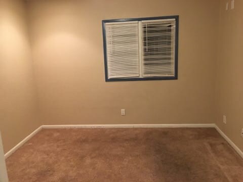 Photo - 12414 Touchton Dr