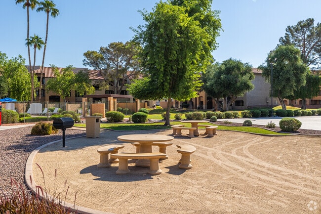 Sports Court - Olive Tree