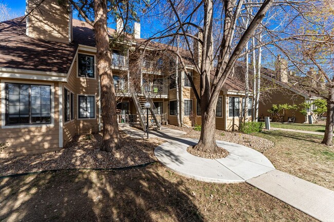 Photo - Updated 1 BDR with loft in Gunbarrel