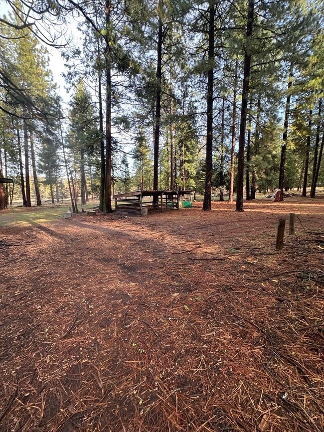 Photo - 18515 Freight Rd Ln