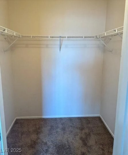 Photo - 9901 Trailwood Dr Unit 2004