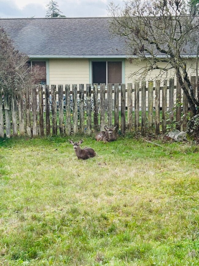 Photo - 3 Bedroom Home located in the heart of town! Close to everything!