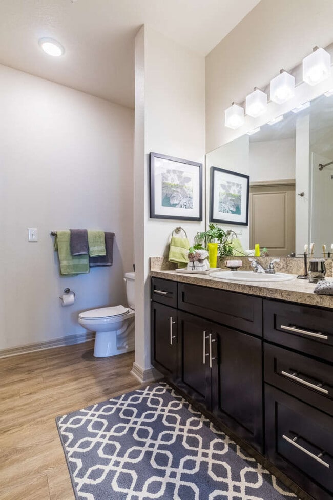 The Carlton of Fort Myers Apartments Fort Myers, FL