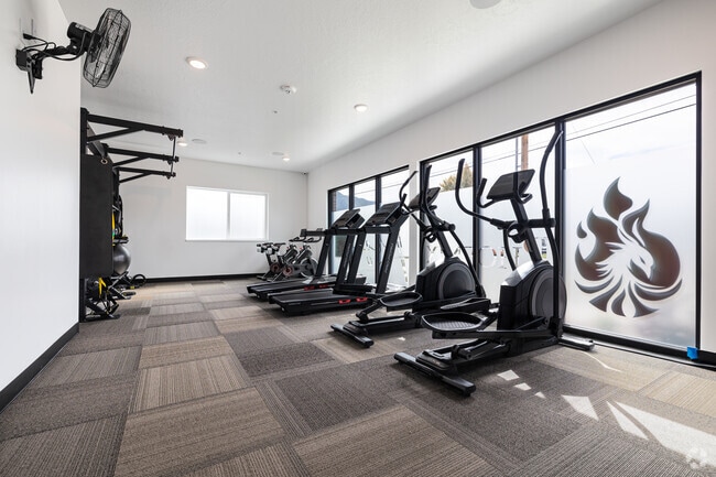 Gimnasio