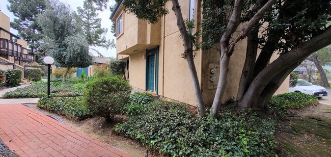 Photo - 570 Peach St