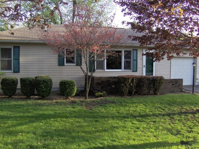 Building Photo - 717 Balboa Dr