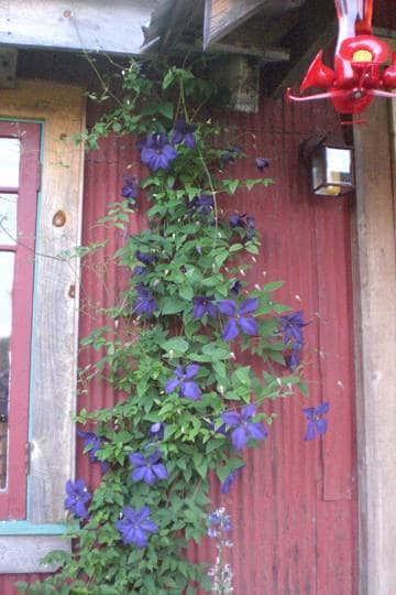 Photo - 40 Henry Houghtaling Rd