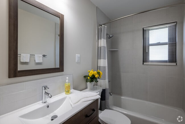 2BR, 1BA - 800SF - Primary Bathroom