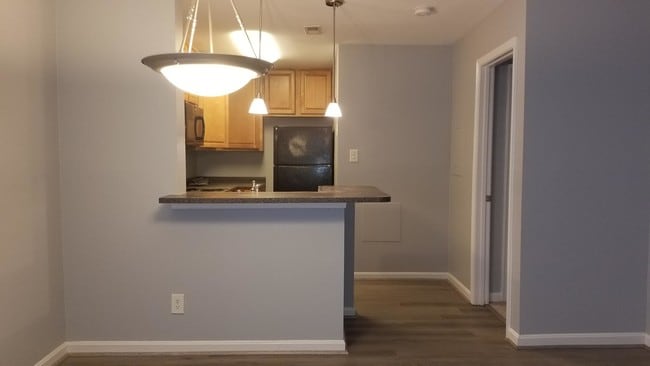 Photo - 10303 Appalachian Cir Unidad 208 Rental