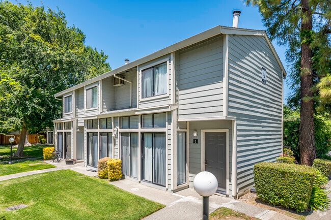 Primary - Le Tournesol