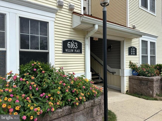 Building Photo - 6163 Willow Pl Unit 303 Rental