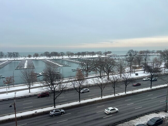 Building Photo - 3410 N Lake Shore Dr Unit 7D