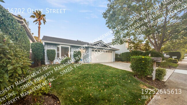 Photo - 36702 Olive St