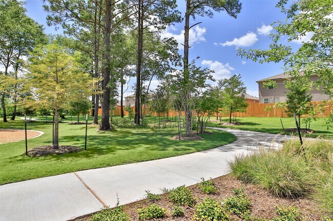 25523 Blooming Hazel Dr
