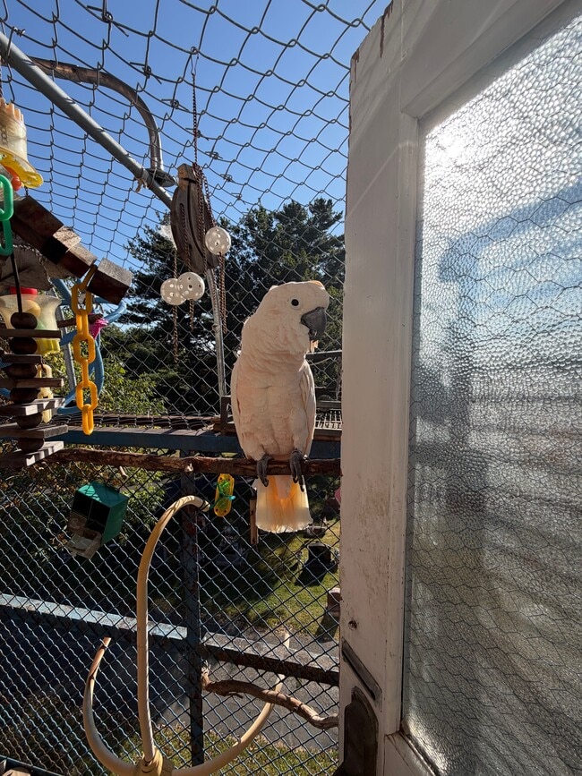 Building Photo - 101 Ten Broeck Ln Unit For The Birds