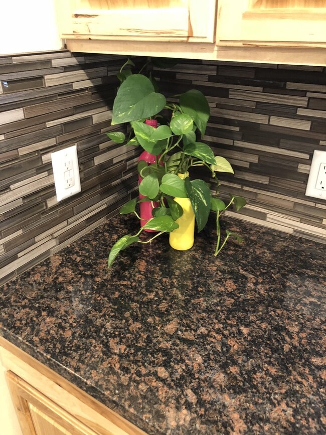 Photo - 824 E 8th St