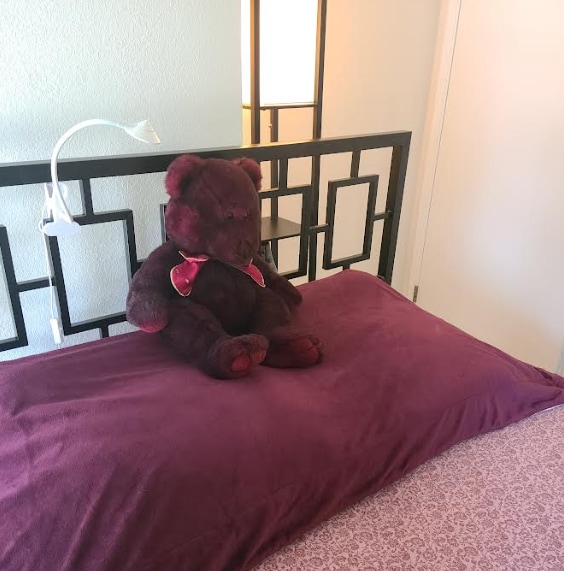 151 Emerald City Way Unit AptosEnclave