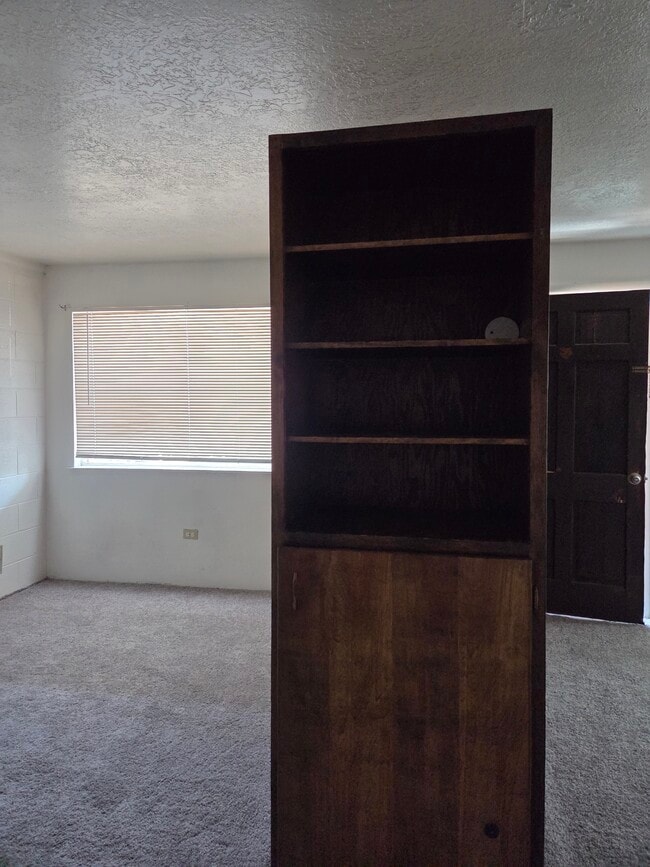 Closet - 1051 S 4th Ave Unit 34