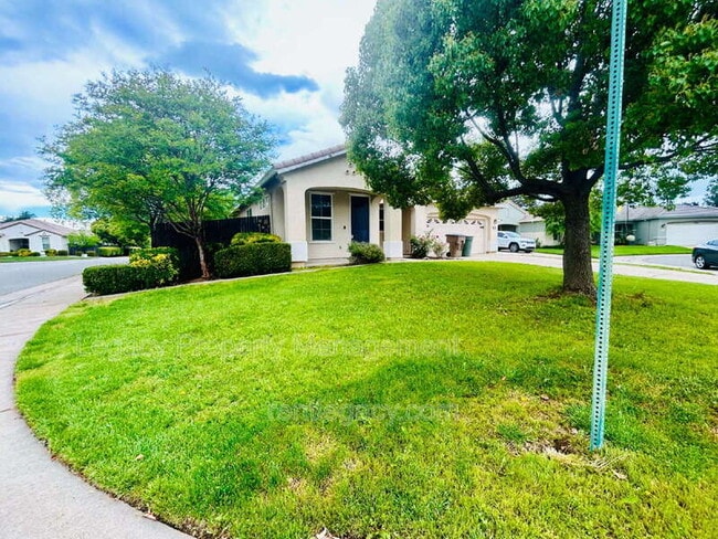 Photo - 300 Dedham Ct