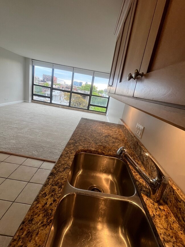 Kitchen - 1540 N La Salle Dr Unit 607