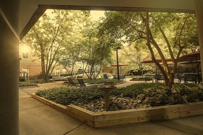 Courtyard with Gas Grills