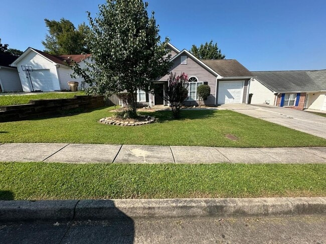 Building Photo - 10629 Pine Forest Ln Rental
