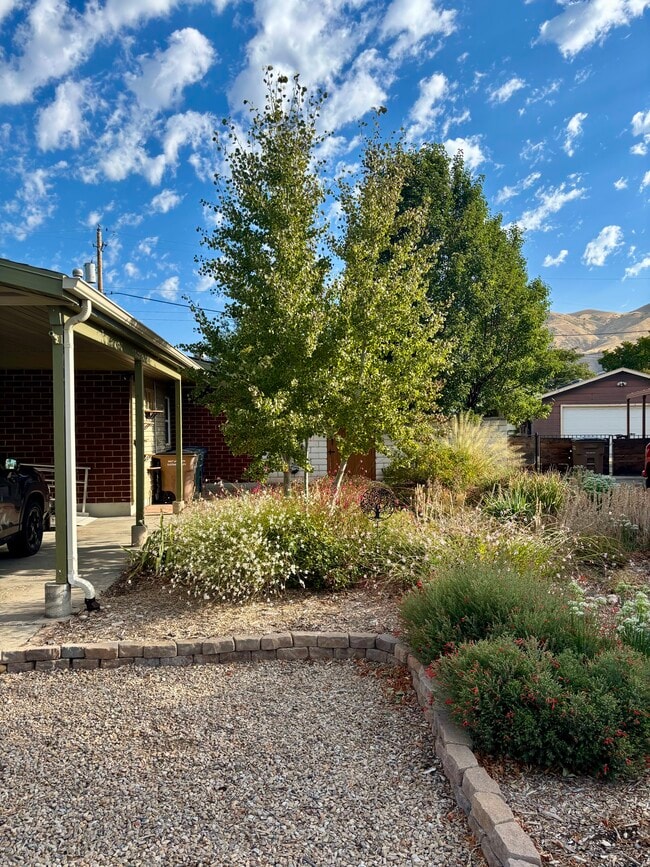 Photo - 1146 Taffeta Dr