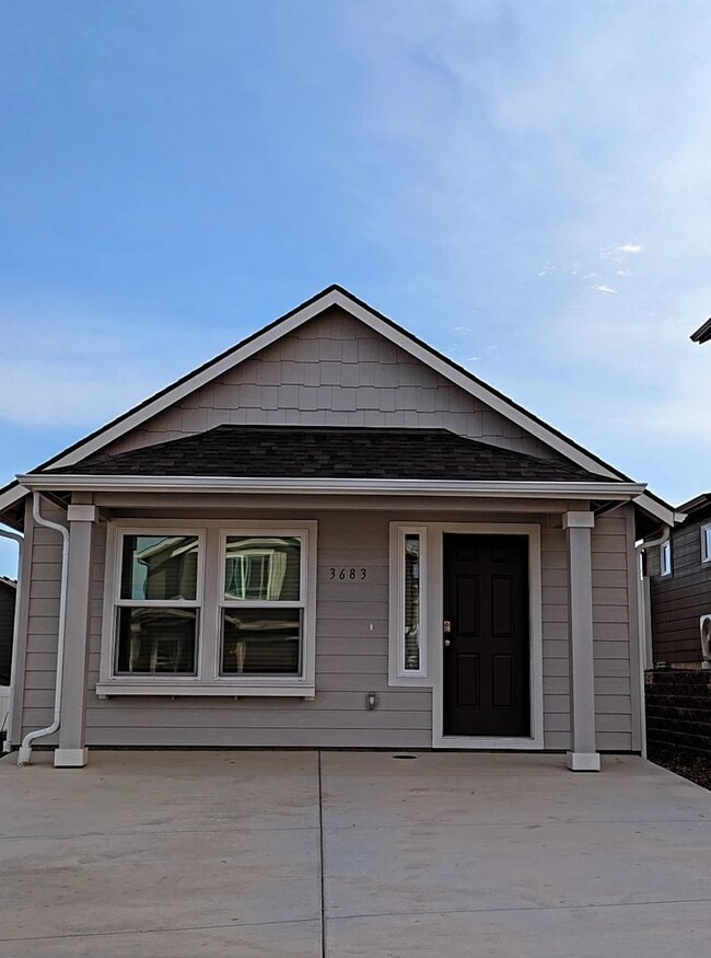 New Single Level Home in New SunRidge Community - New Single Level Home in New SunRidge Community